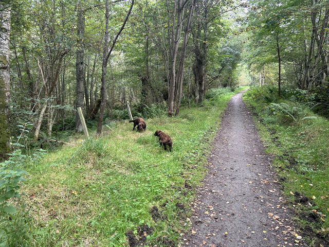 Speyside Challenge participant photo 14