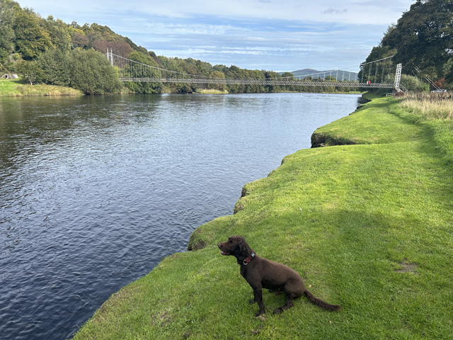 Speyside Challenge participant photo 15