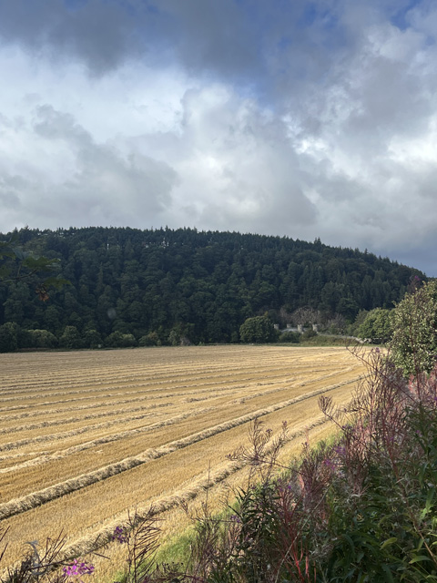 Speyside Challenge participant photo 17