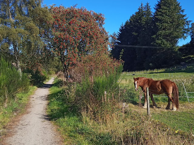 Speyside Challenge participant photo 7